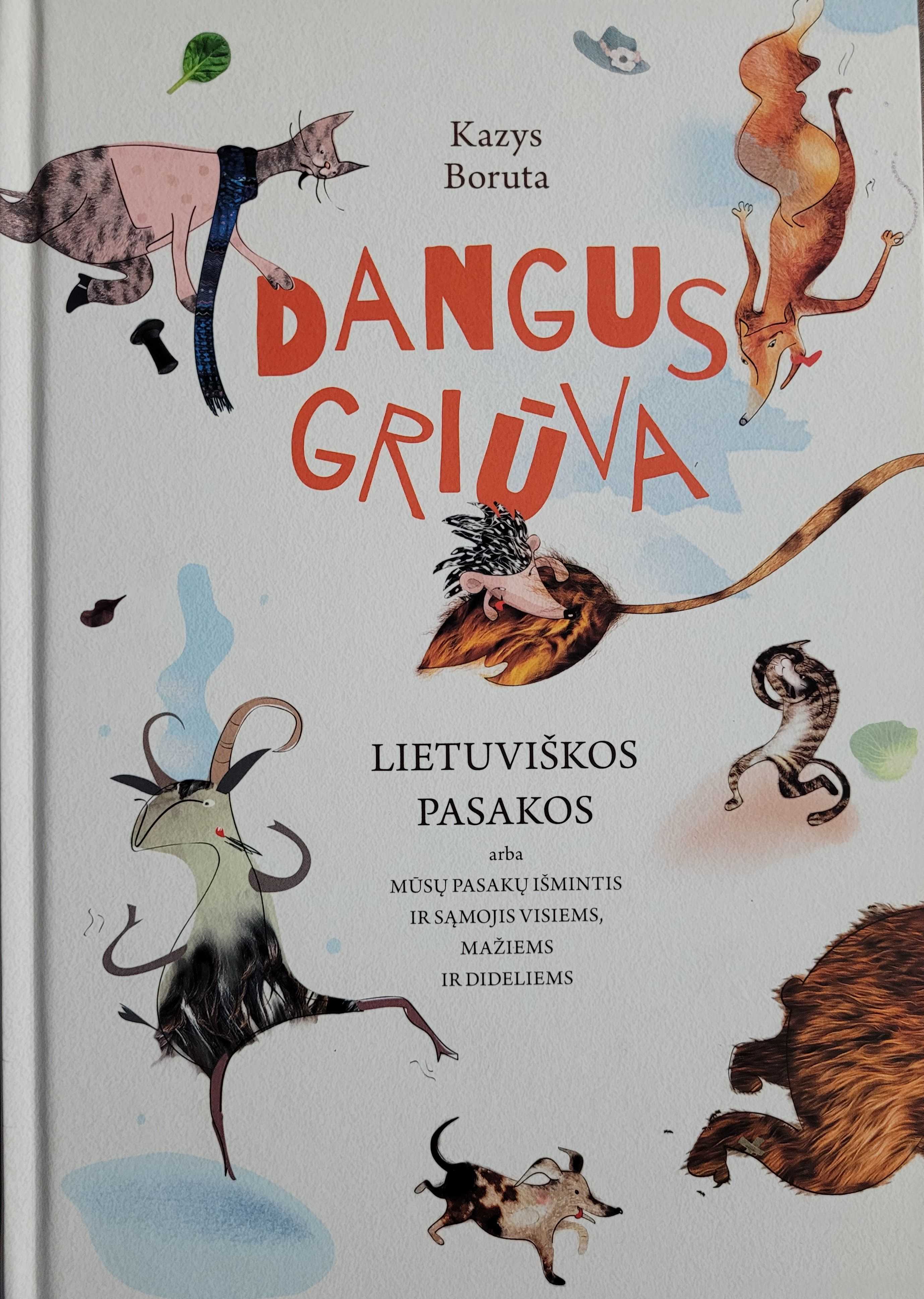 Dangus griūva (knyga)