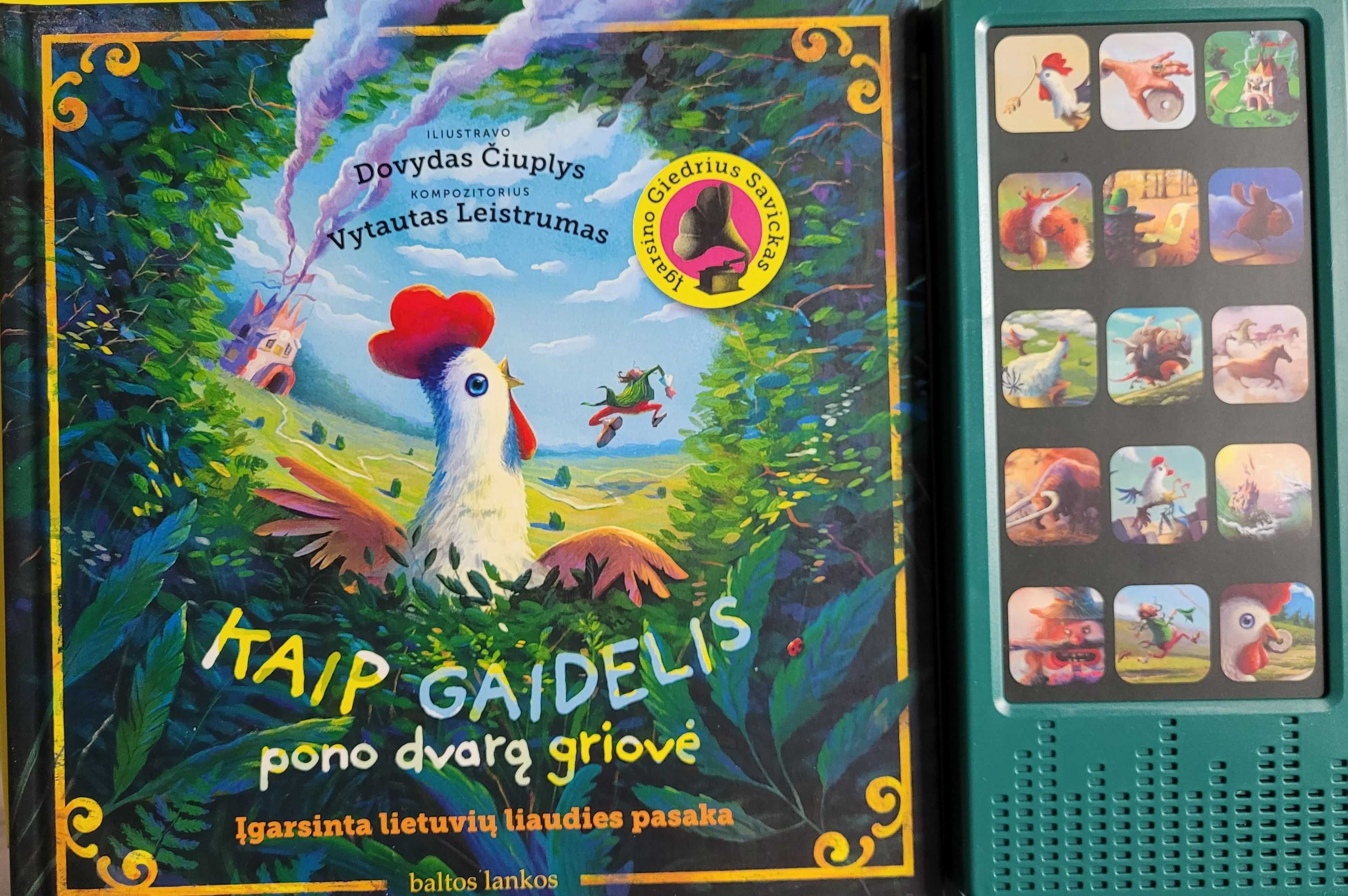 Kaip gaidelis pono dvarą griovė