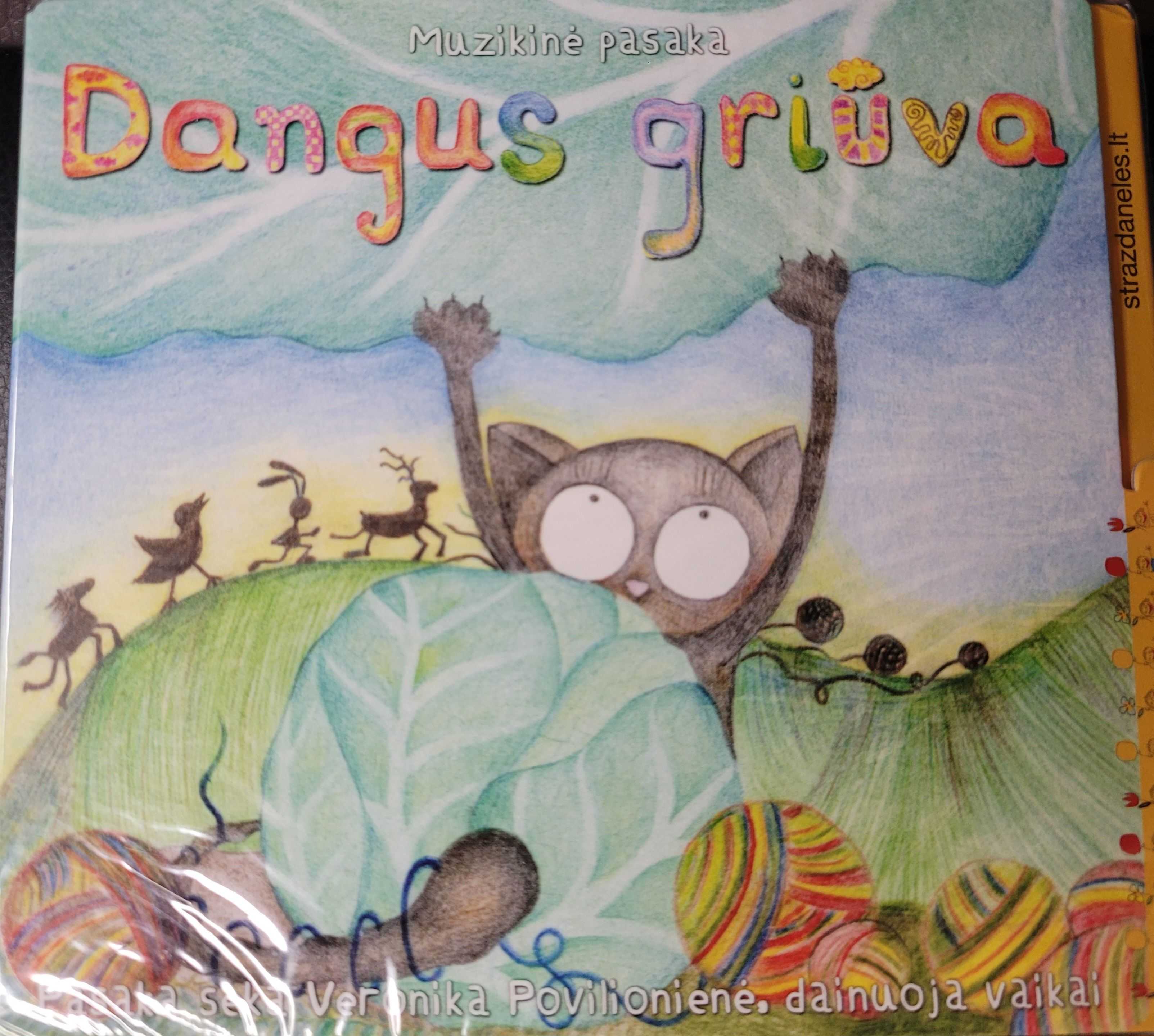 Dangus griūva (cd)