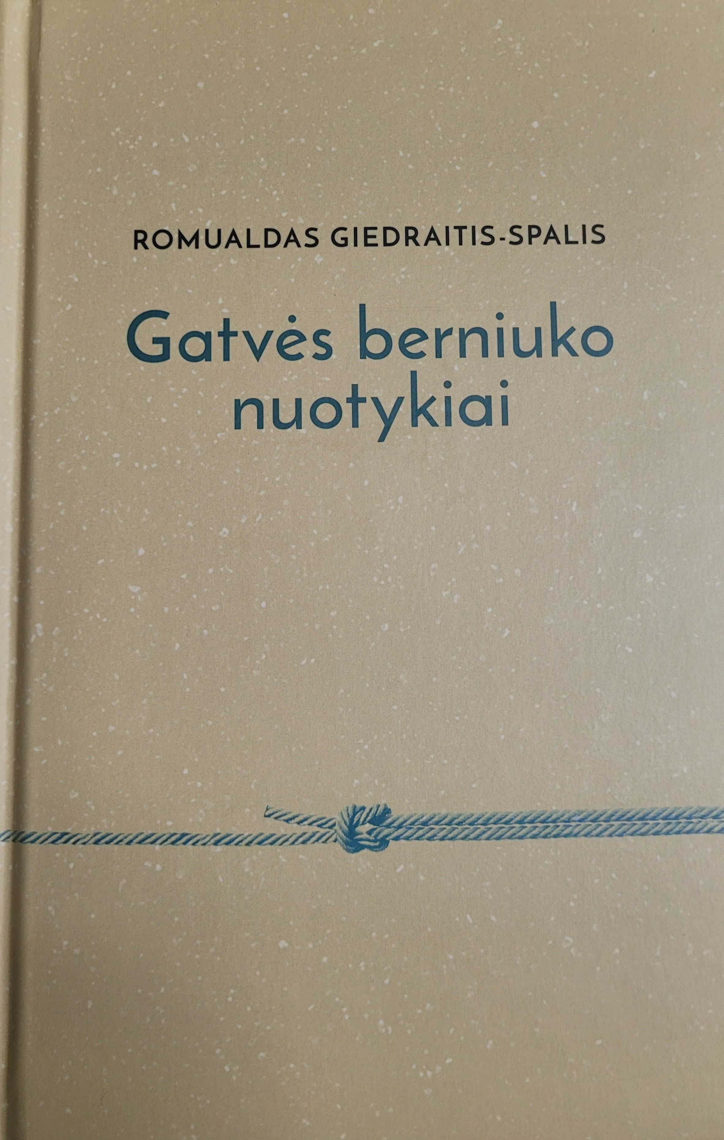 Gatvės berniuko nuotykiai