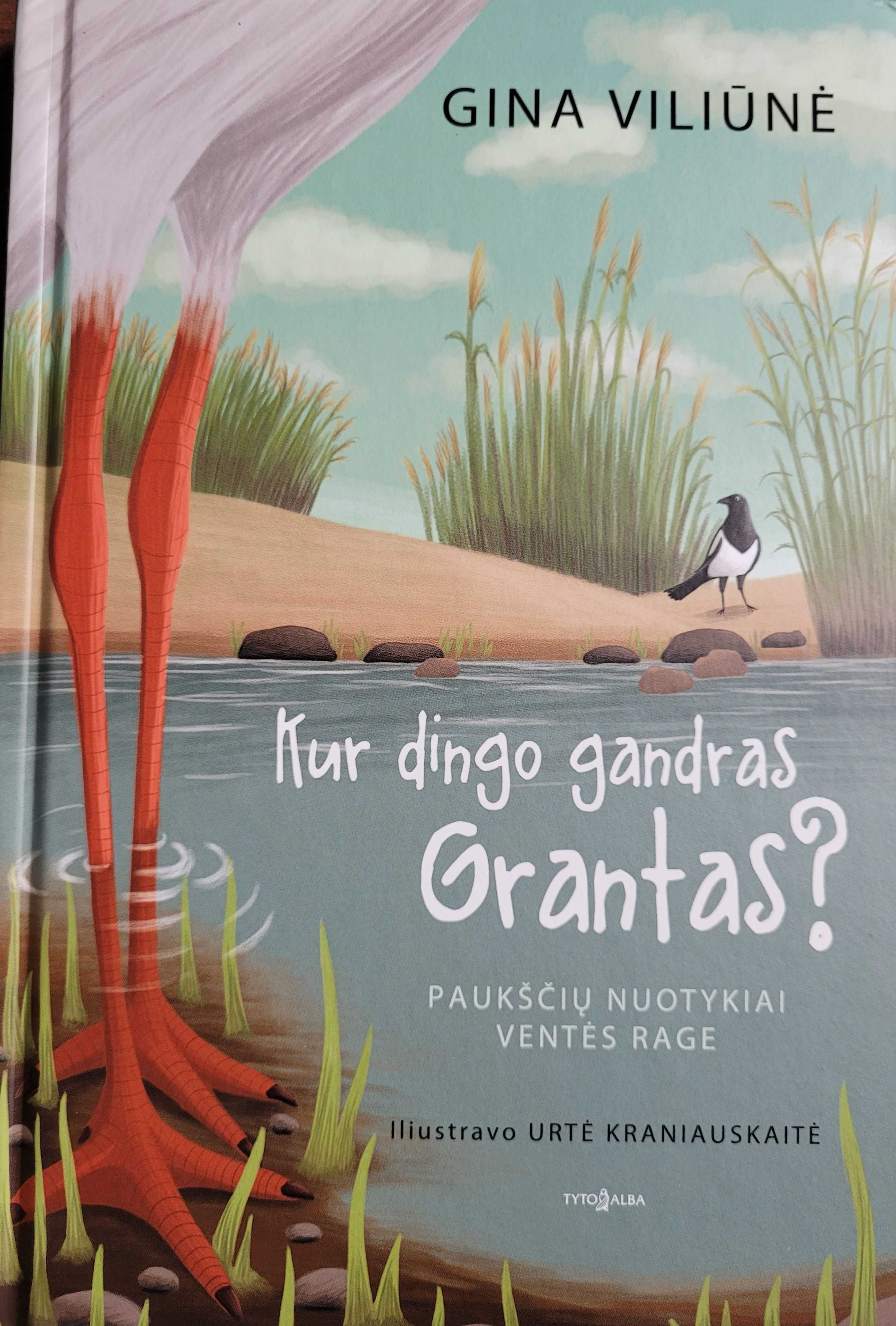 Kur dingo gandras grantas?