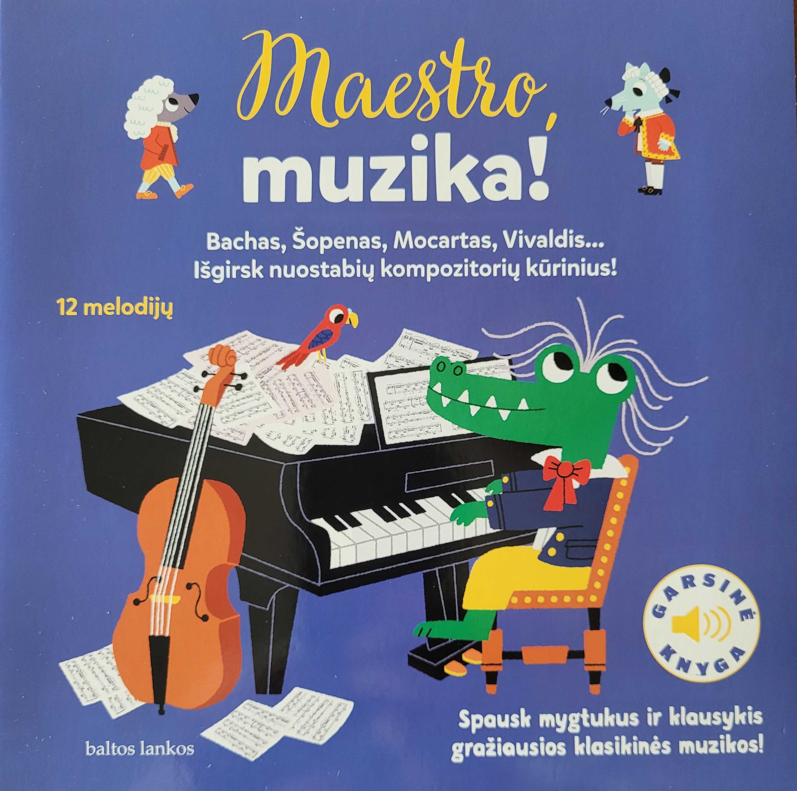 maestro, muzika!